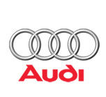 Audi Logo - Specialized Training Partnership